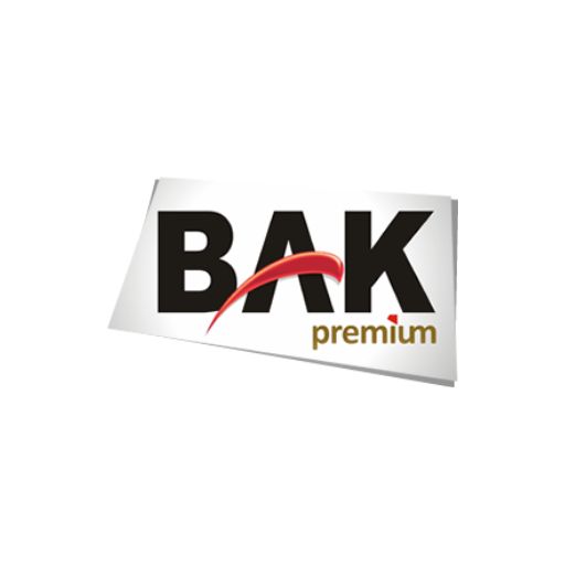 Logo de Bak International